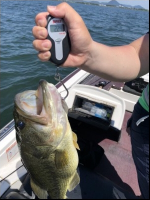 hideup 乃村弘栄 ブログ写真 2018/06/04