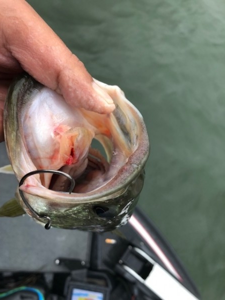 hideup 乃村弘栄 ブログ写真 2018/06/06