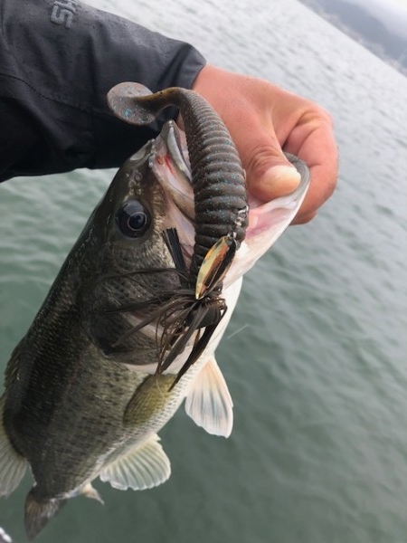 hideup 乃村弘栄 ブログ写真 2018/06/06