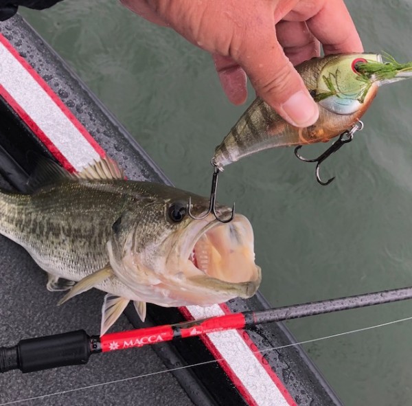 hideup 乃村弘栄 ブログ写真 2018/06/06