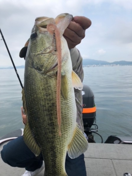 hideup 乃村弘栄 ブログ写真 2018/06/08