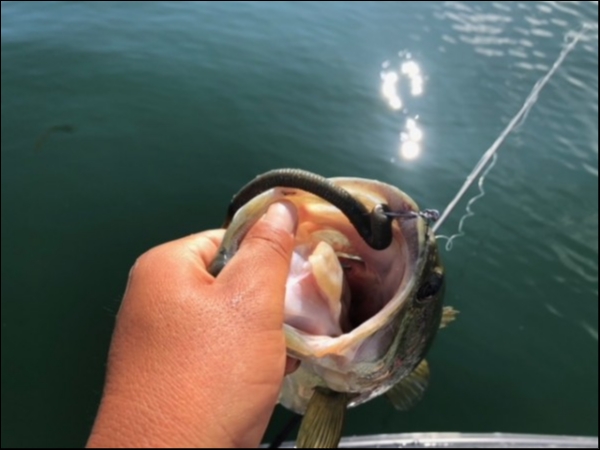 hideup 乃村弘栄 ブログ写真 2018/06/08