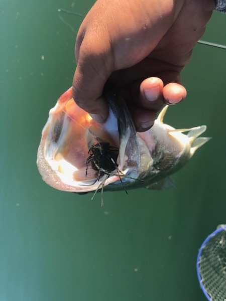 hideup 乃村弘栄 ブログ写真 2018/07/13