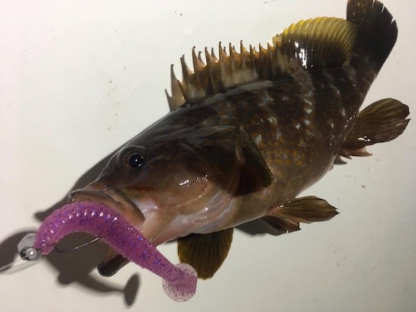 hideup 乃村弘栄 ブログ写真 2018/07/15