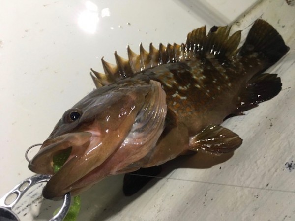 hideup 乃村弘栄 ブログ写真 2018/07/15