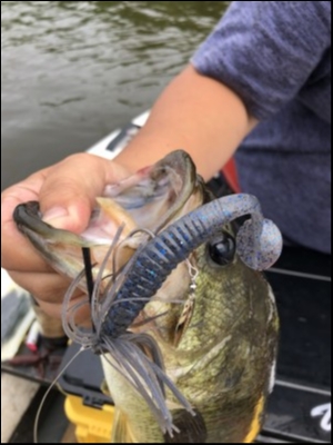 hideup 乃村弘栄 ブログ写真 2018/07/15