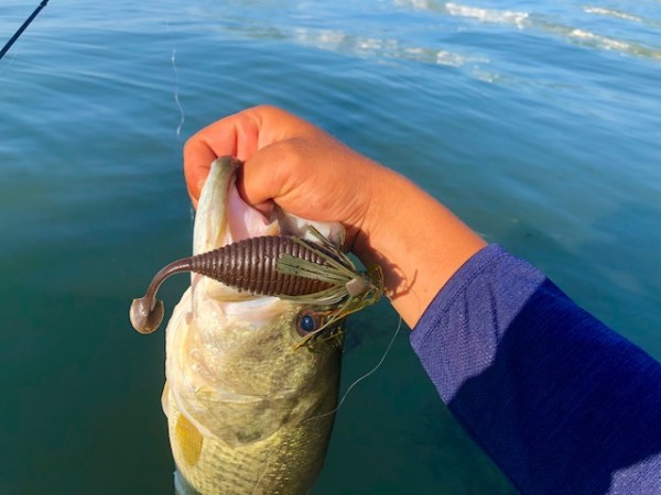 hideup 乃村弘栄 ブログ写真 2018/08/02