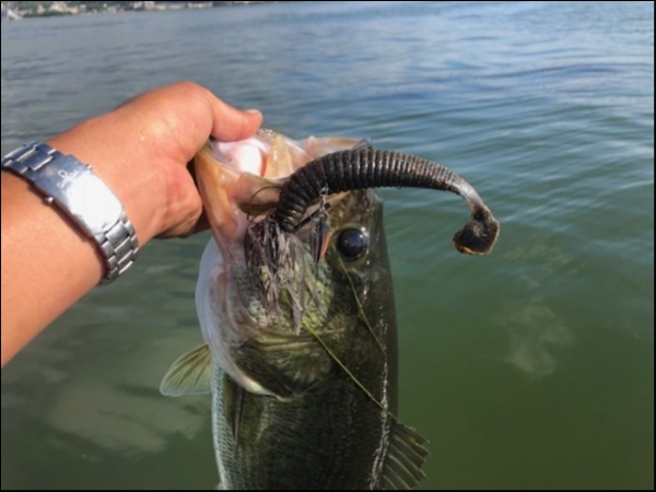 hideup 乃村弘栄 ブログ写真 2018/08/09