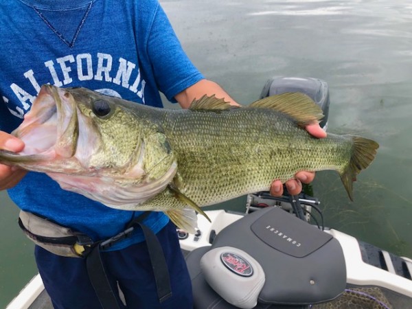 hideup 乃村弘栄 ブログ写真 2018/08/10