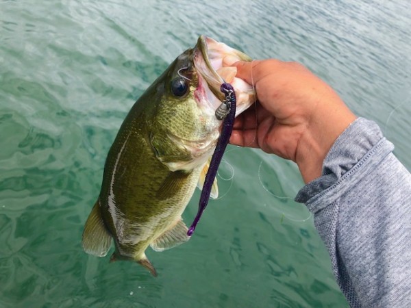 hideup 乃村弘栄 ブログ写真 2018/08/10