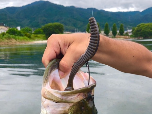 hideup 乃村弘栄 ブログ写真 2018/08/10