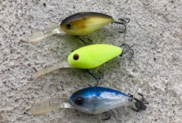 hideup 乃村弘栄 ブログ写真 2018/09/02