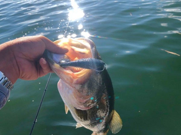 hideup 乃村弘栄 ブログ写真 2018/09/04