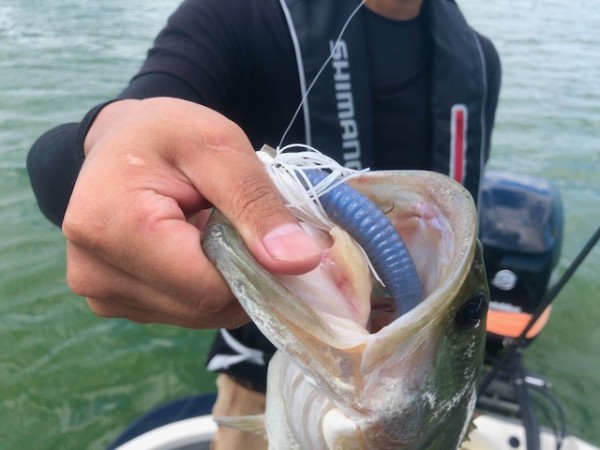 hideup 乃村弘栄 ブログ写真 2018/09/04