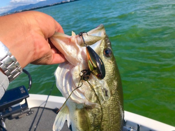 hideup 乃村弘栄 ブログ写真 2018/09/04