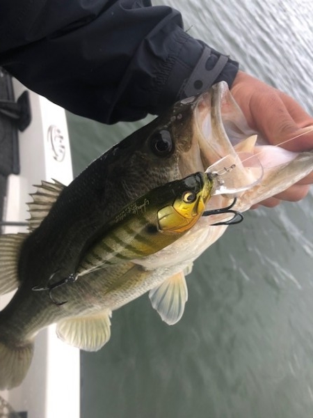 hideup 乃村弘栄 ブログ写真 2018/10/05