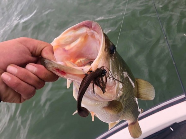 hideup 乃村弘栄 ブログ写真 2018/10/05