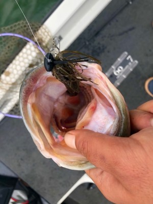 hideup 乃村弘栄 ブログ写真 2018/10/05