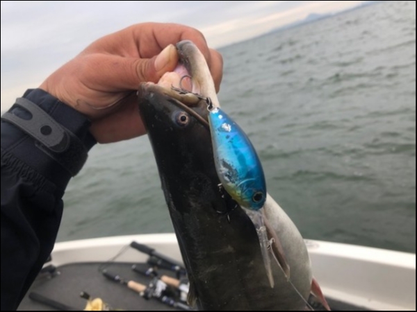 hideup 乃村弘栄 ブログ写真 2018/10/05