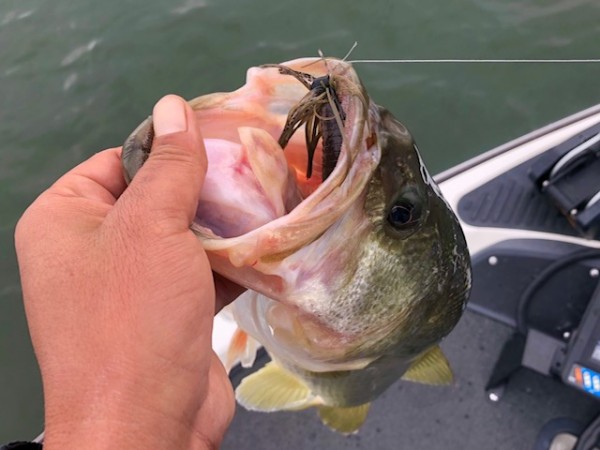 hideup 乃村弘栄 ブログ写真 2018/10/05