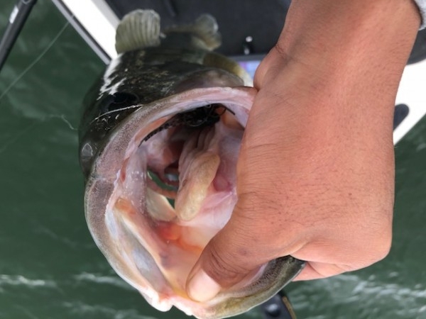 hideup 乃村弘栄 ブログ写真 2018/10/06