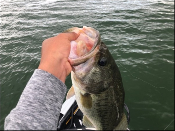 hideup 乃村弘栄 ブログ写真 2018/10/06