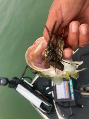 hideup 乃村弘栄 ブログ写真 2018/10/06