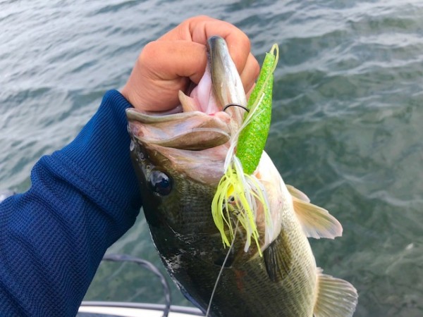 hideup 乃村弘栄 ブログ写真 2018/10/07