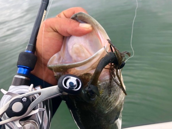 hideup 乃村弘栄 ブログ写真 2018/10/07