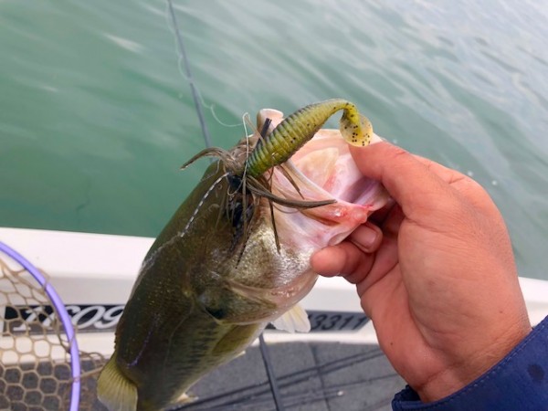 hideup 乃村弘栄 ブログ写真 2018/10/10