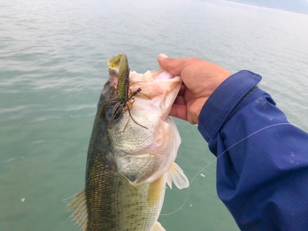 hideup 乃村弘栄 ブログ写真 2018/10/10