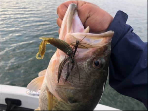 hideup 乃村弘栄 ブログ写真 2018/10/10