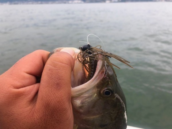 hideup 乃村弘栄 ブログ写真 2018/10/12