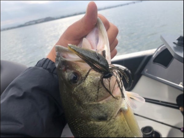 hideup 乃村弘栄 ブログ写真 2018/10/12