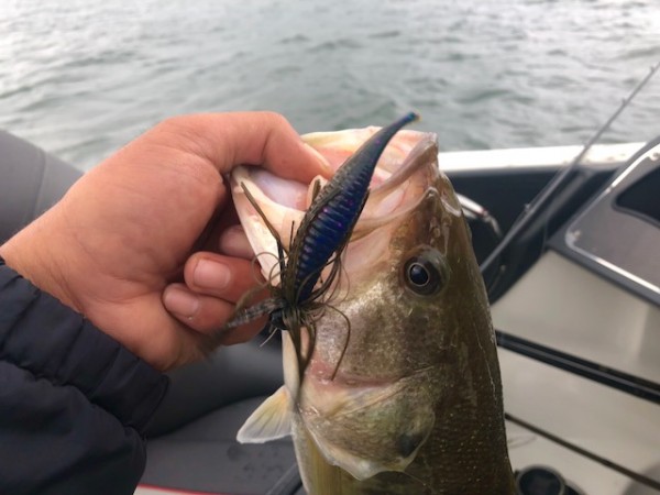 hideup 乃村弘栄 ブログ写真 2018/10/12