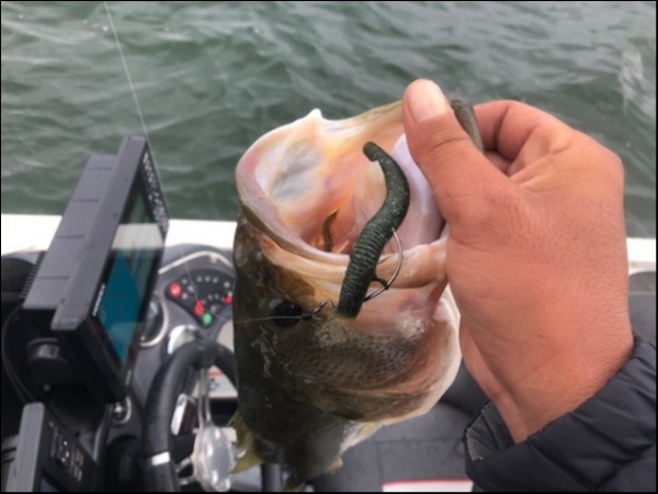 hideup 乃村弘栄 ブログ写真 2018/10/12