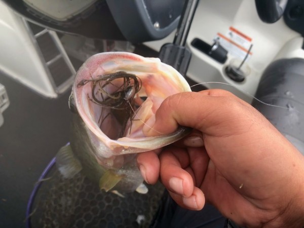 hideup 乃村弘栄 ブログ写真 2018/10/12