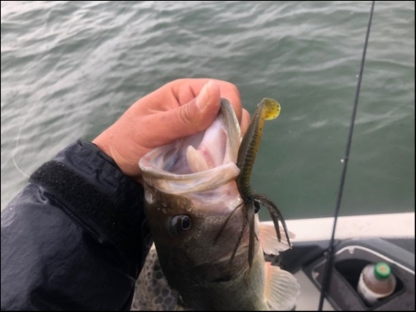 hideup 乃村弘栄 ブログ写真 2018/11/09