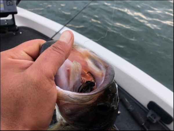 hideup 乃村弘栄 ブログ写真 2018/11/09