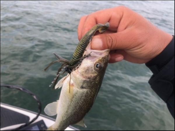 hideup 乃村弘栄 ブログ写真 2018/11/11