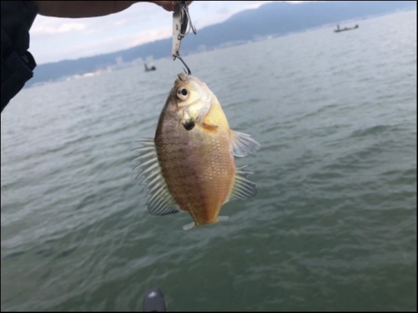 hideup 乃村弘栄 ブログ写真 2018/11/11