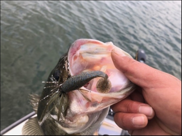 hideup 乃村弘栄 ブログ写真 2018/12/06