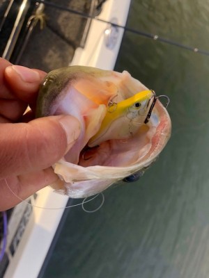 hideup 乃村弘栄 ブログ写真 2018/12/06