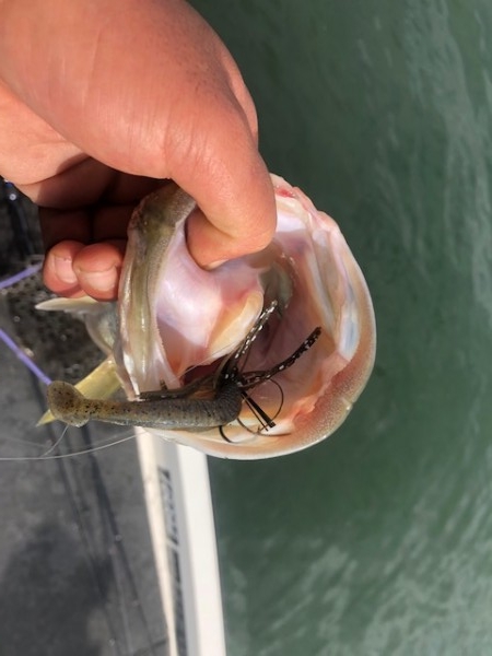 hideup 乃村弘栄 ブログ写真 2018/12/06