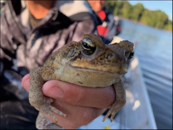 hideup 乃村弘栄 ブログ写真 2019/02/01