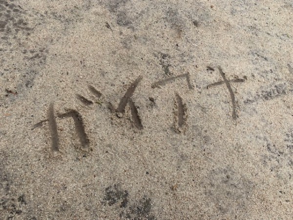 hideup 乃村弘栄 ブログ写真 2019/02/04