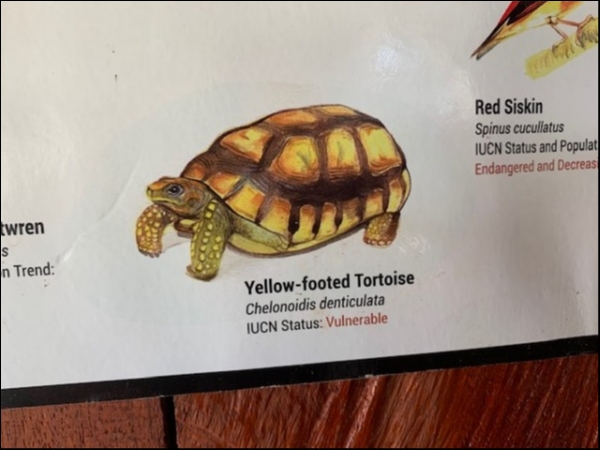 hideup 乃村弘栄 ブログ写真 2019/02/05