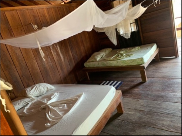 hideup 乃村弘栄 ブログ写真 2019/02/05