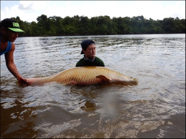 hideup 乃村弘栄 ブログ写真 2019/02/06