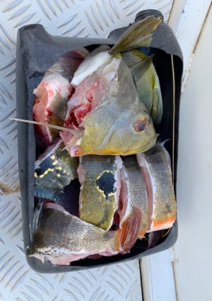 hideup 乃村弘栄 ブログ写真 2019/02/06